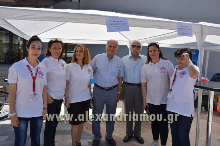 alexandriamou_1_alexandrinos_dromos086